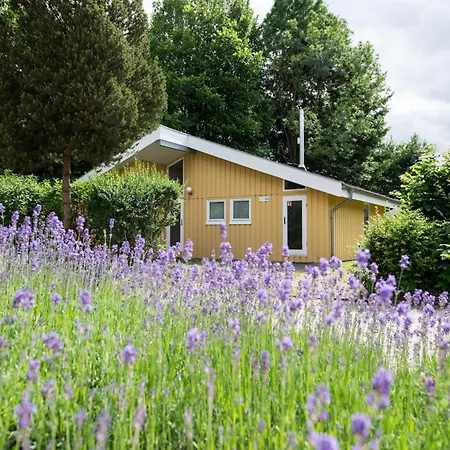 Seeschwalbe 242 펜션 *